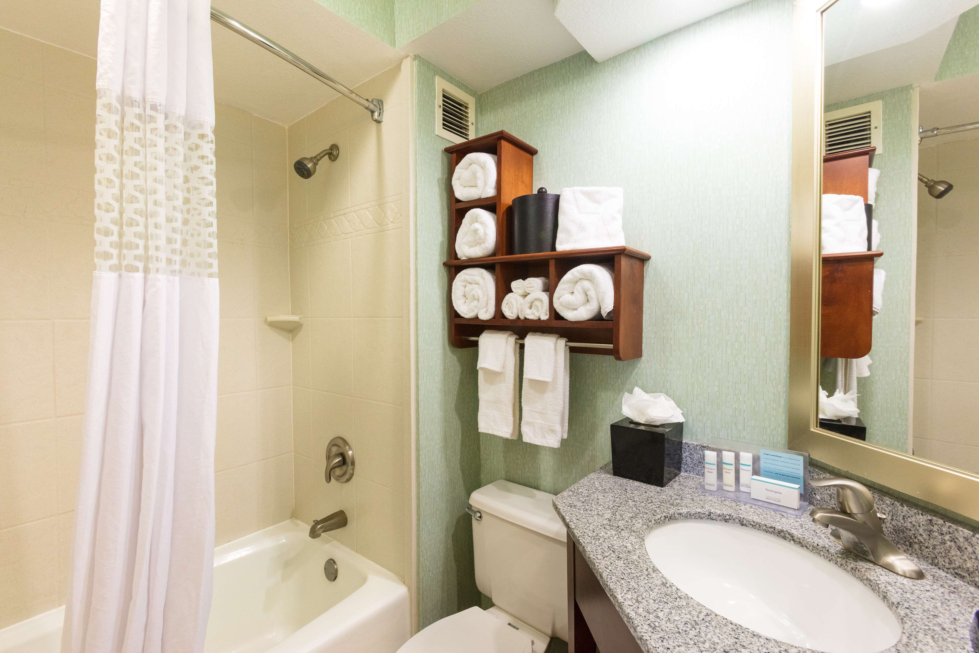 combined shower/bathtub, free toiletries, hair dryer, towels