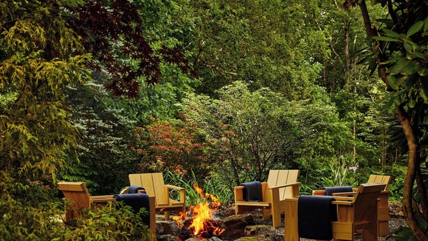 Une zone boisée avec un foyer et des chaises en bois.