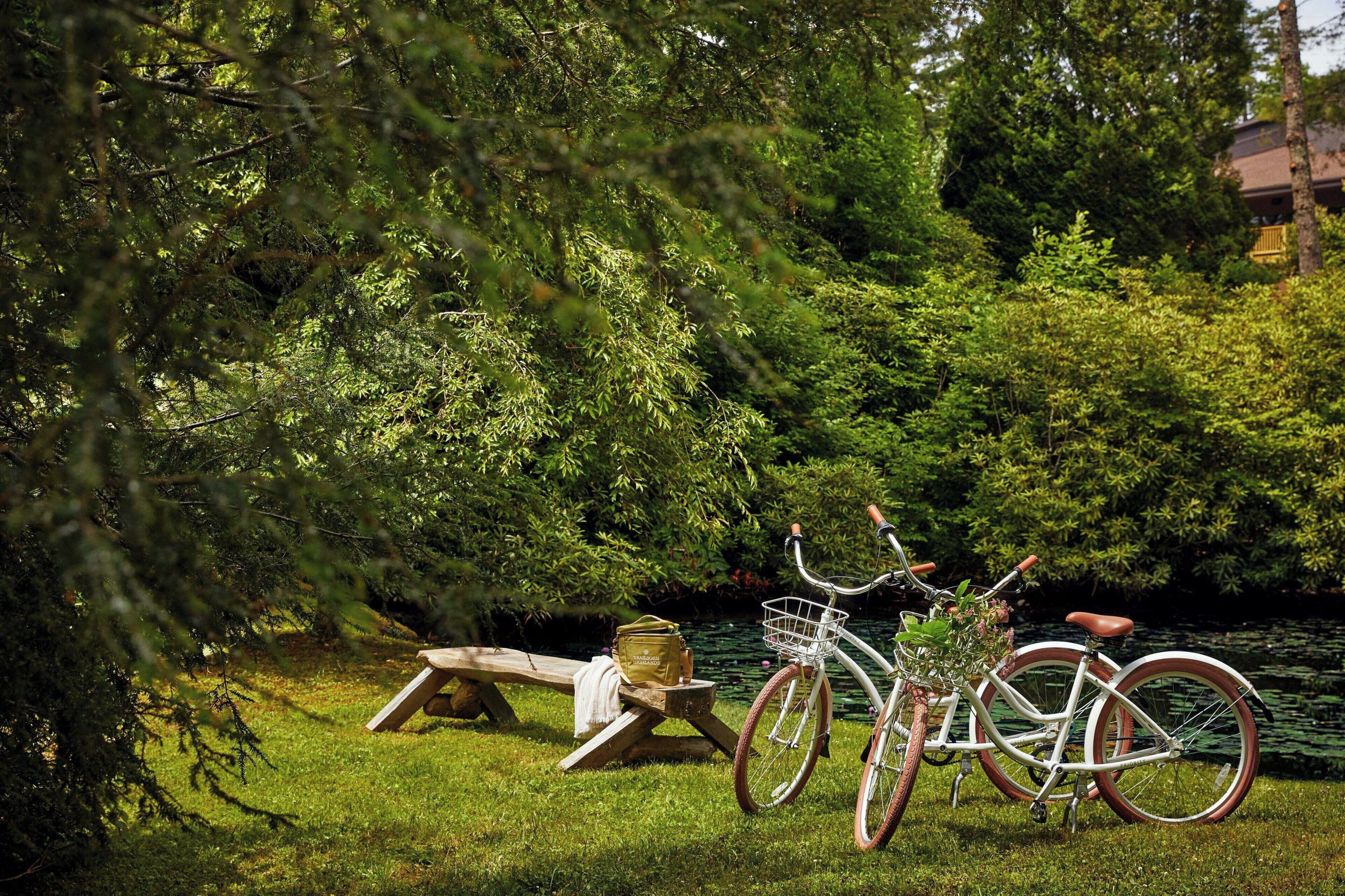 Ein Fahrrad neben einem Picknicktisch an einem See, umgeben von viel Grün.