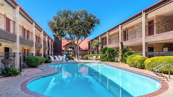 Una piscina al aire libre, sombrillas, tumbonas