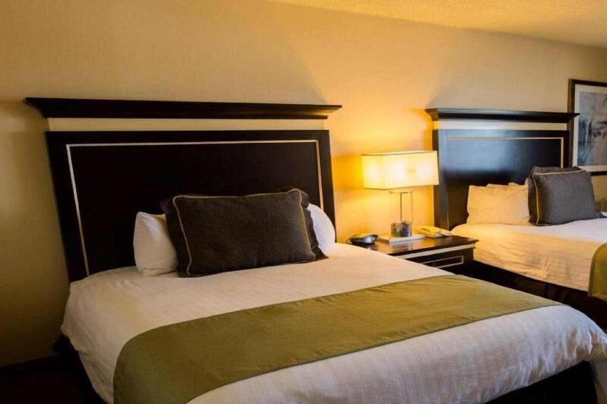 Hypo-allergenic bedding, in-room safe, desk, laptop workspace