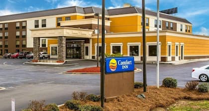 Comfort Inn Fort Mill Amusement Park at Carowinds Blvd