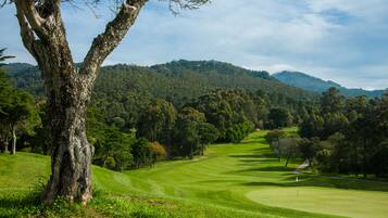 Enjoy a tranquil golfing experience amidst lush greenery and rolling hills.