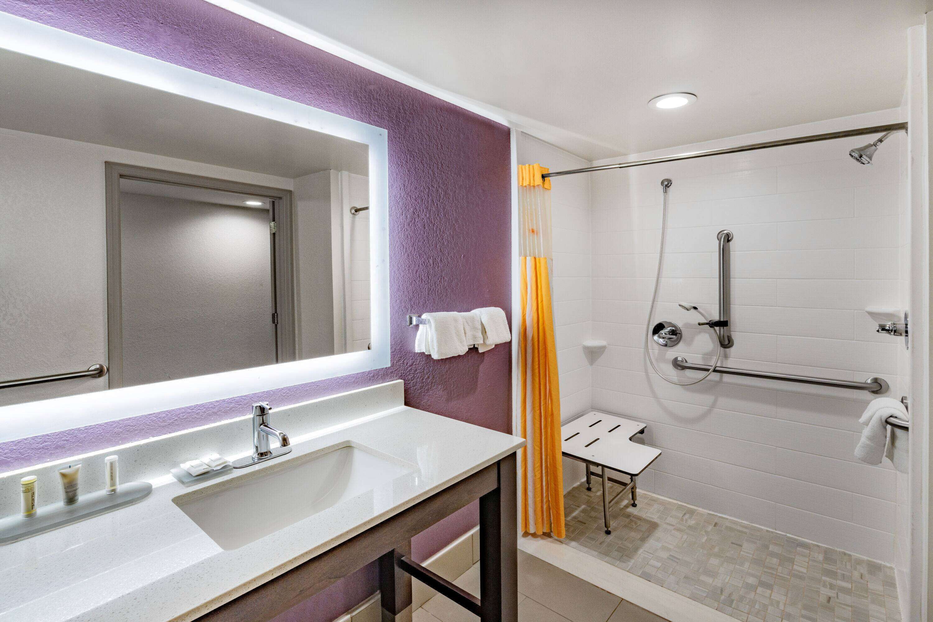 room, 1 king bed, accessible, non smoking (mobility/hearing impaired accessible) | accessible bathroom