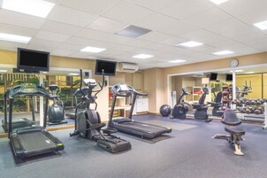 A gym with treadmills, elliptical machines, and free weights.