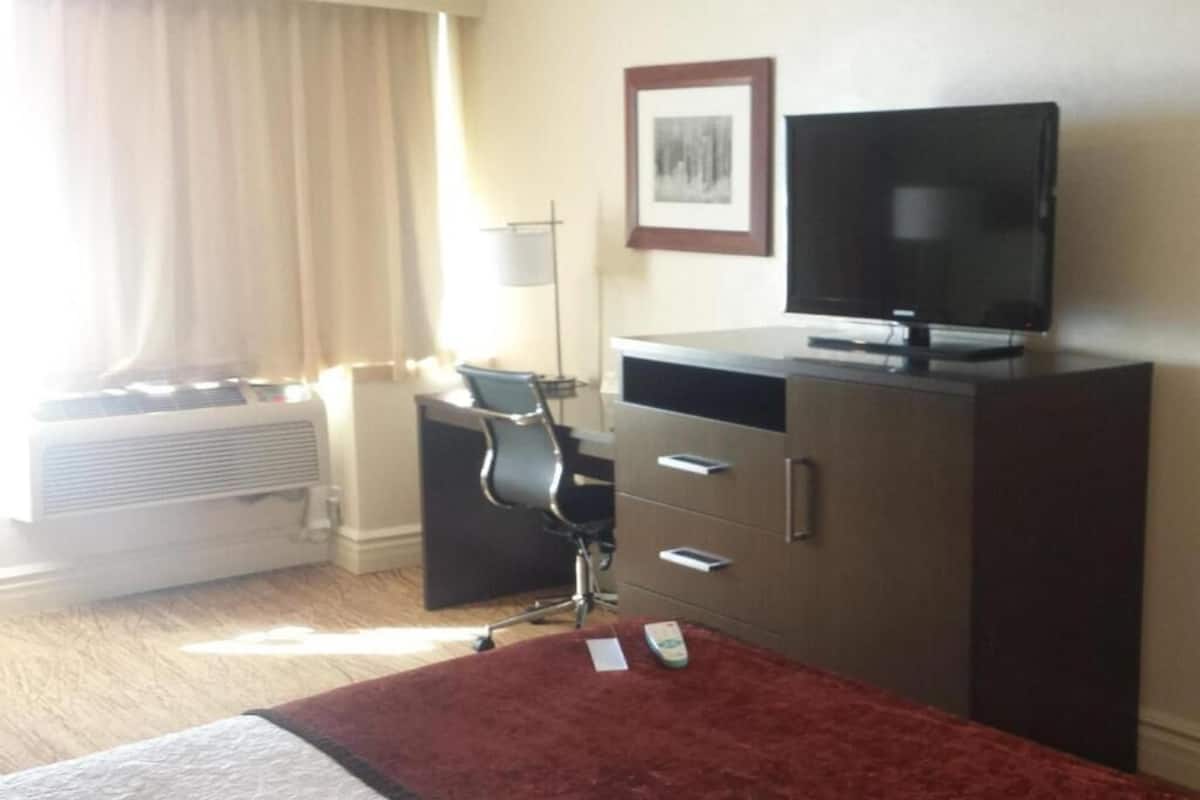 房內夾萬、熨斗/熨衫板、摺床/加床 (收費)、Wi-Fi (收費)