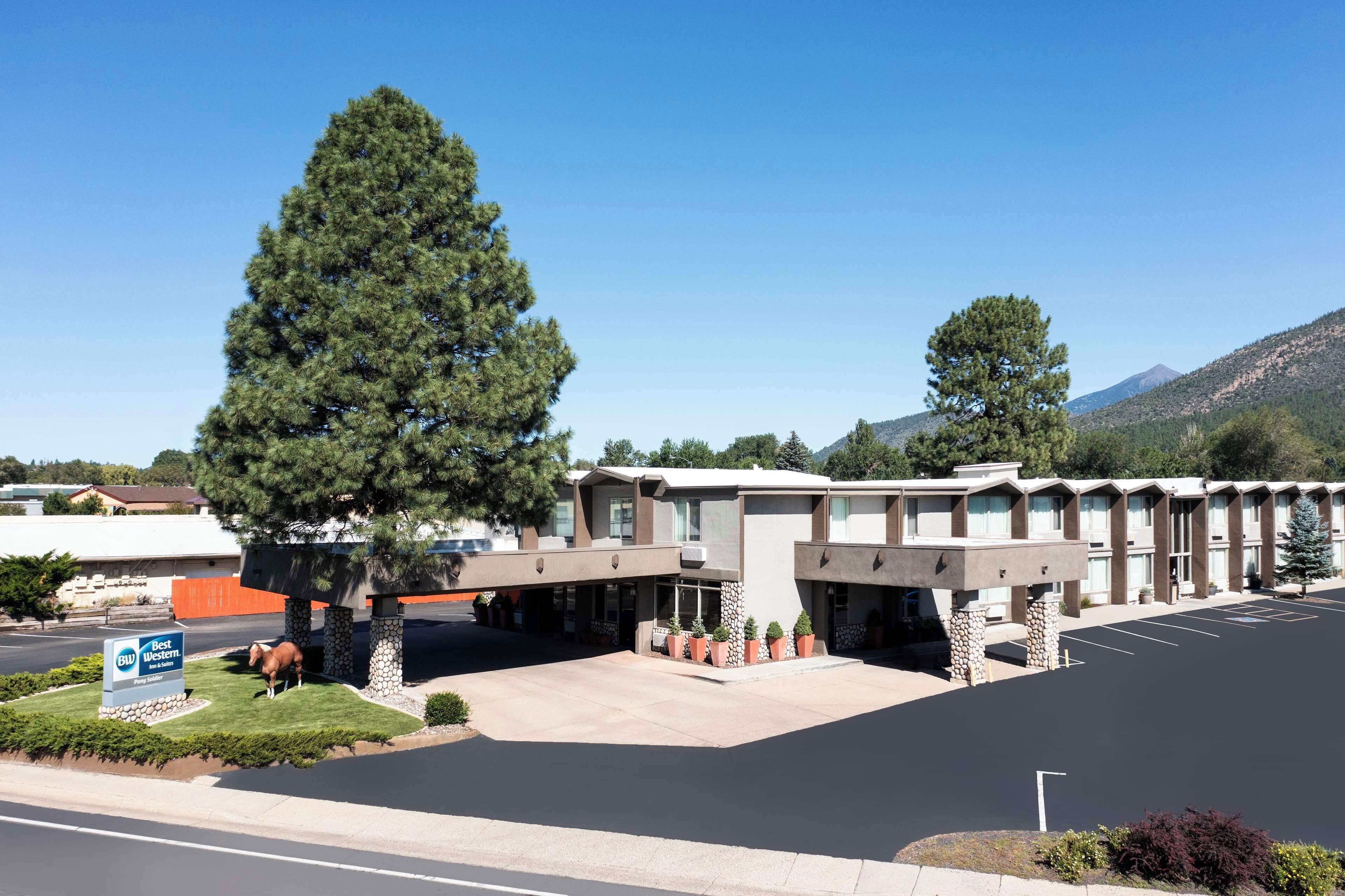 A motel with a parking lot, a large tree, and a mountain in the background.