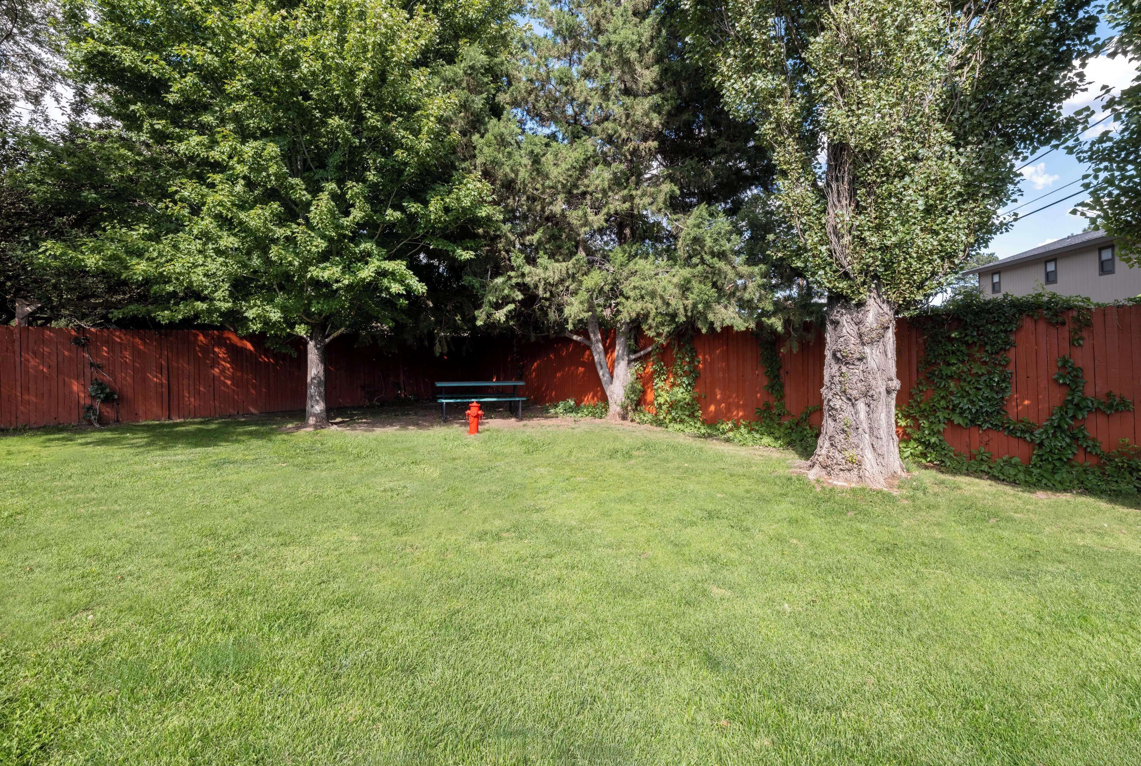 A backyard with a red fire hydrant, a wooden bench, and a large tree.
