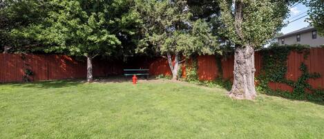 Un patio trasero con un hidrante rojo, un banco de madera y un árbol grande.