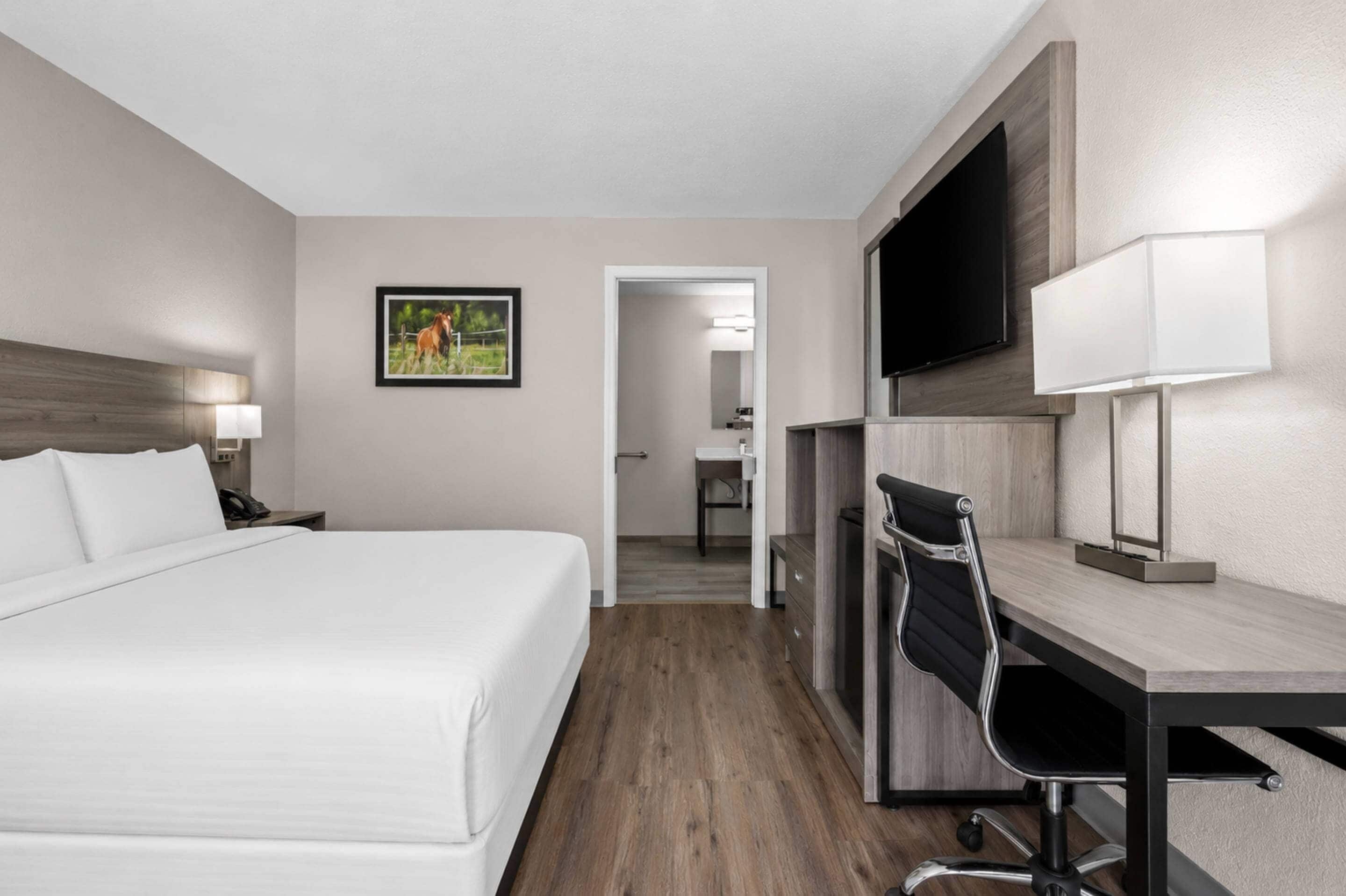 A hotel room with a bed, a desk, a chair, a TV, and a bathroom visible through an open door.