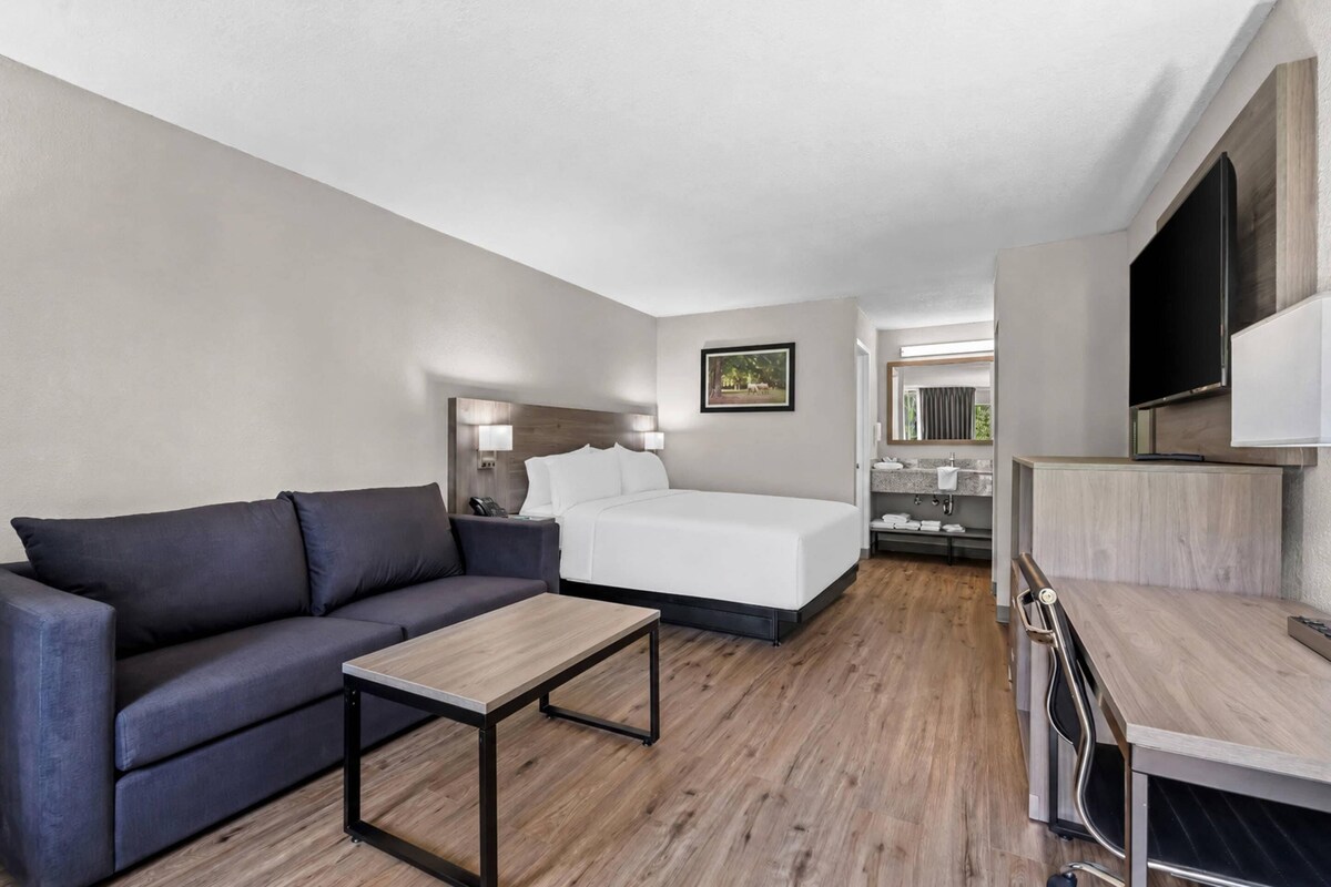 Premium bedding, desk, blackout curtains, soundproofing