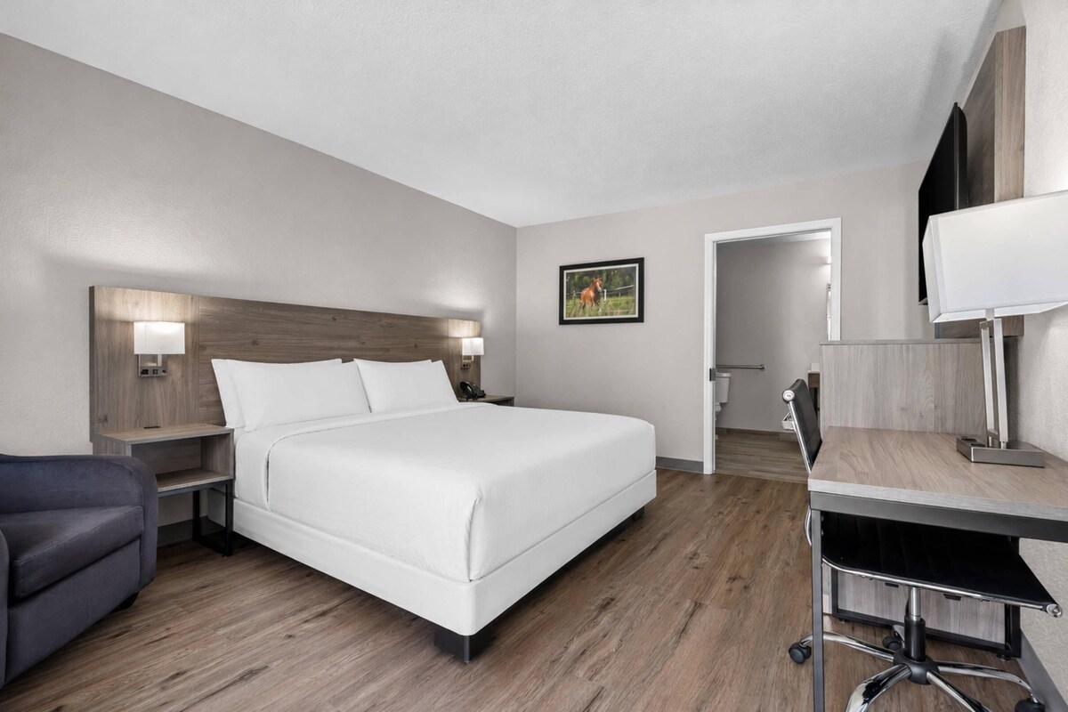 Premium bedding, desk, blackout curtains, soundproofing