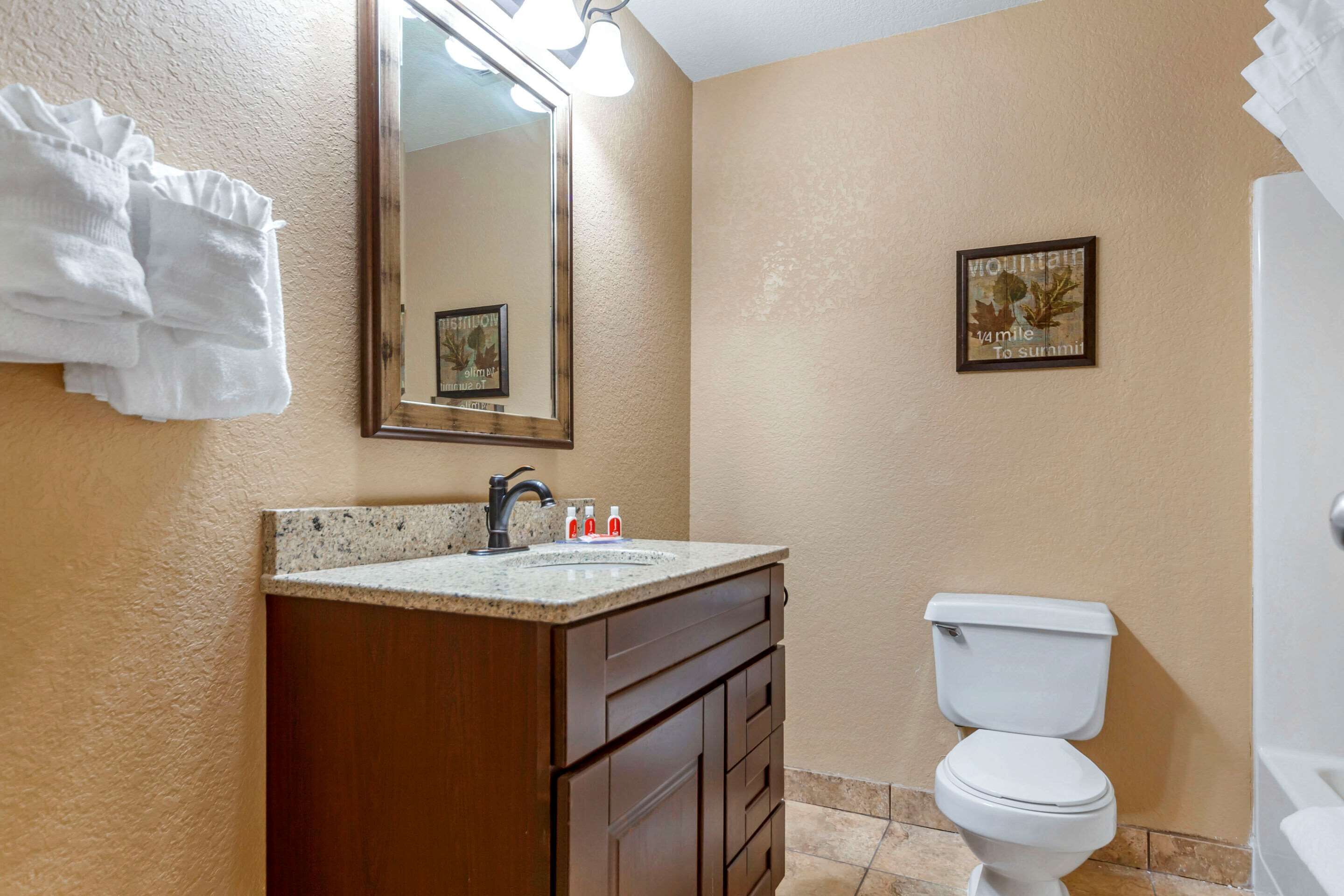 A bathroom with a sink, mirror, and toilet.