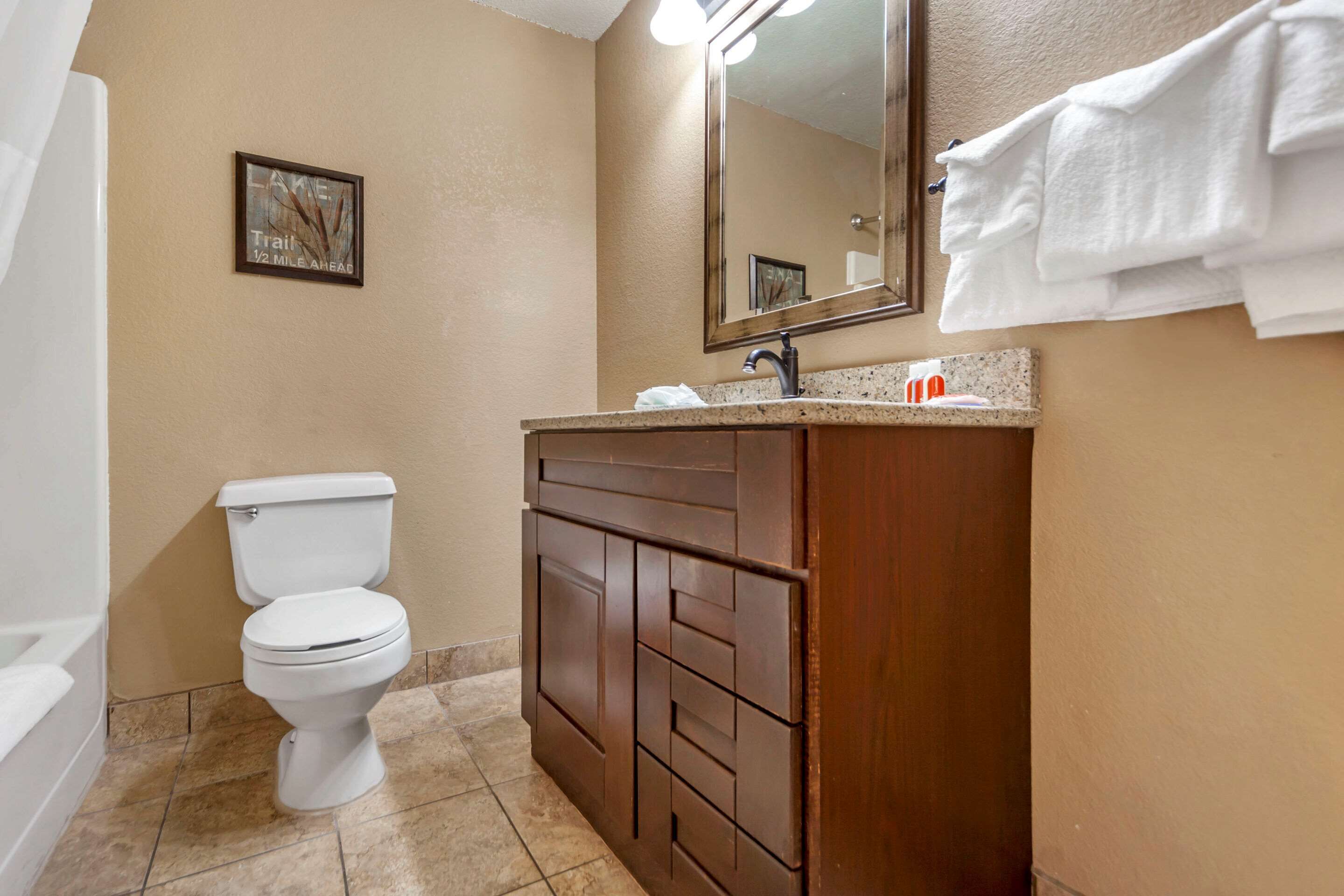 A bathroom with a white toilet, wooden vanity, and a mirror above the sink.