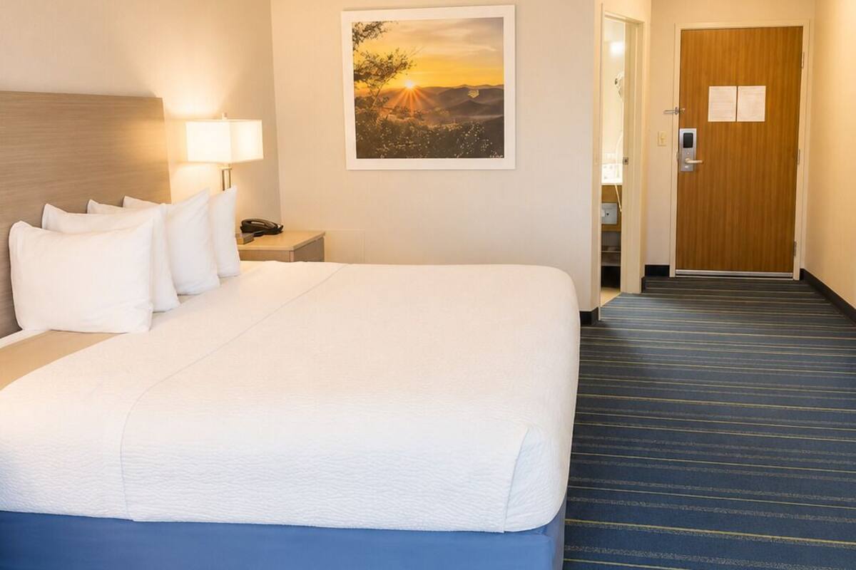 A hotel room with a large bed, a nightstand with a lamp, a framed picture on the wall, and a door with a sign.