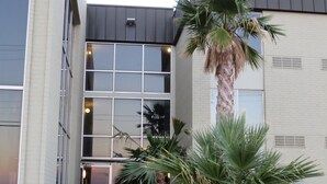 A modern building with large windows and a palm tree in front. - Wyndham Garden Midland (Midland)