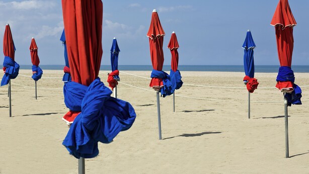 Sombrillas de playa alineadas en hileras sobre arena.