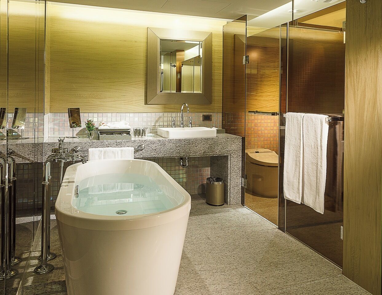 hair dryer, bathrobes, slippers, bidet