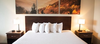 Days Inn by Wyndham Waynesboro