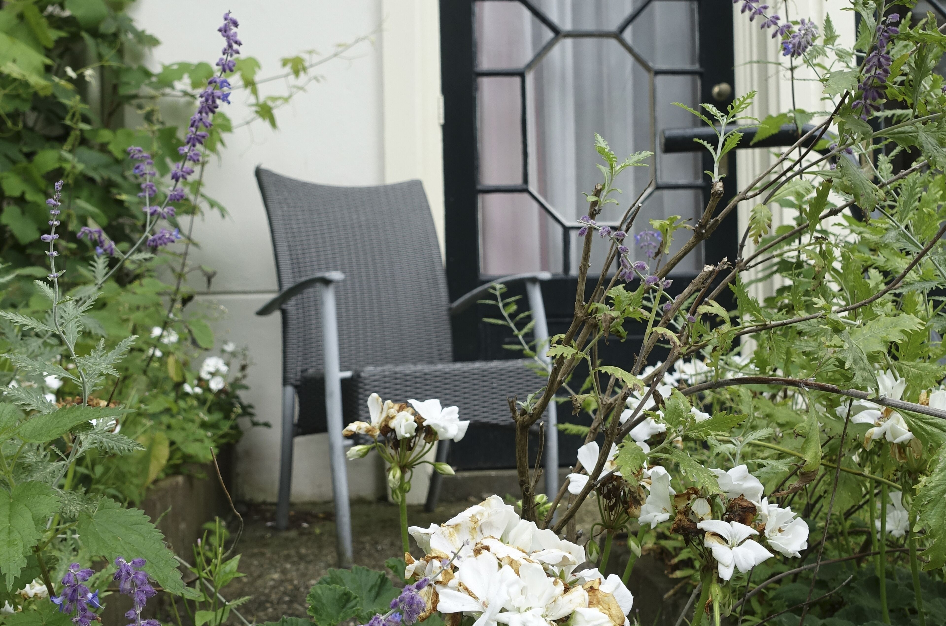 Tremannsrom, 1 dobbeltseng med sovesofa, hageutsikt | Terrasse/patio