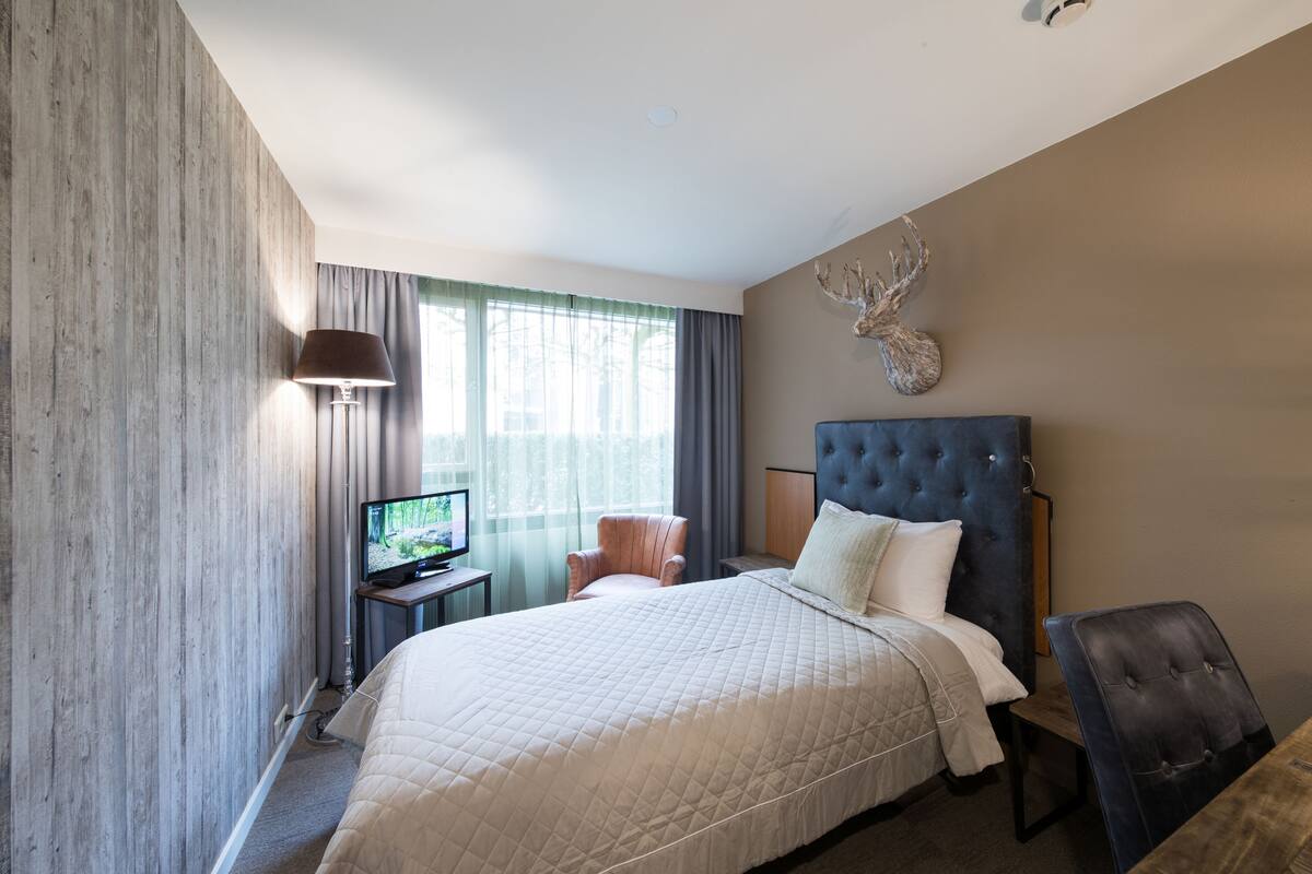 A hotel room with a large bed, a television, a chair, and a decorative deer head on the wall.