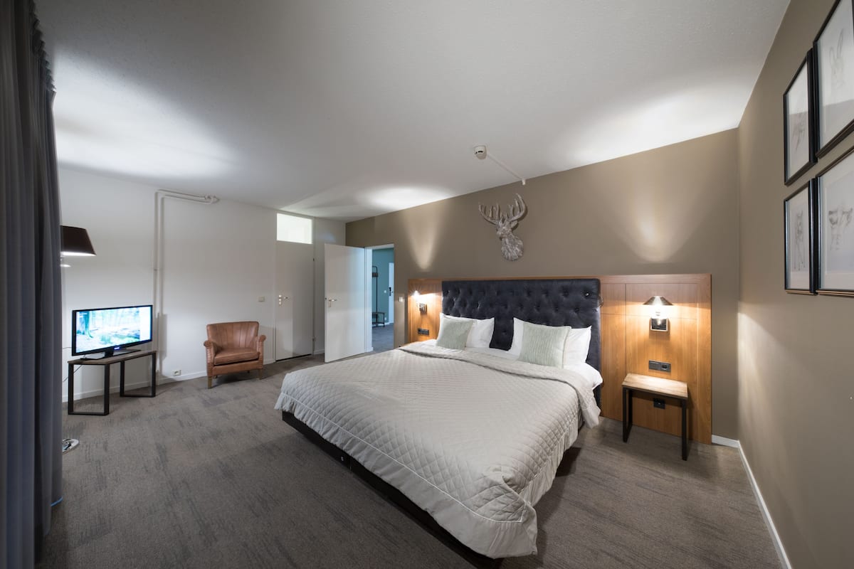 A hotel room with a large bed, a television on a stand, a leather chair, and a wall-mounted deer head decoration.