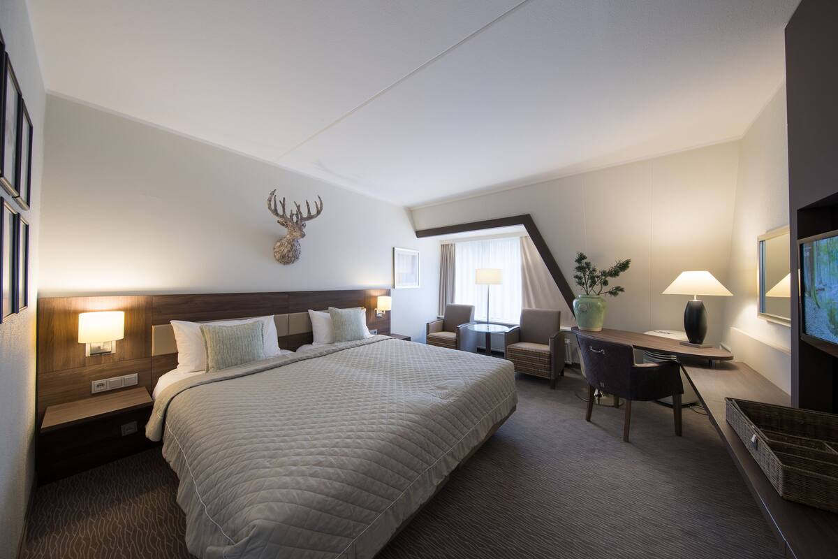 A hotel room with a large bed, a desk with a chair, a small table, and a television.