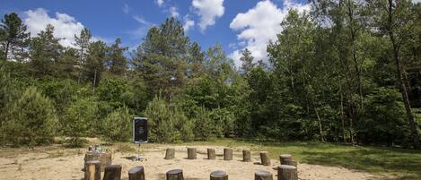 A sandy area with wooden posts arranged in a circle, surrounded by dense forest under a clear sky.