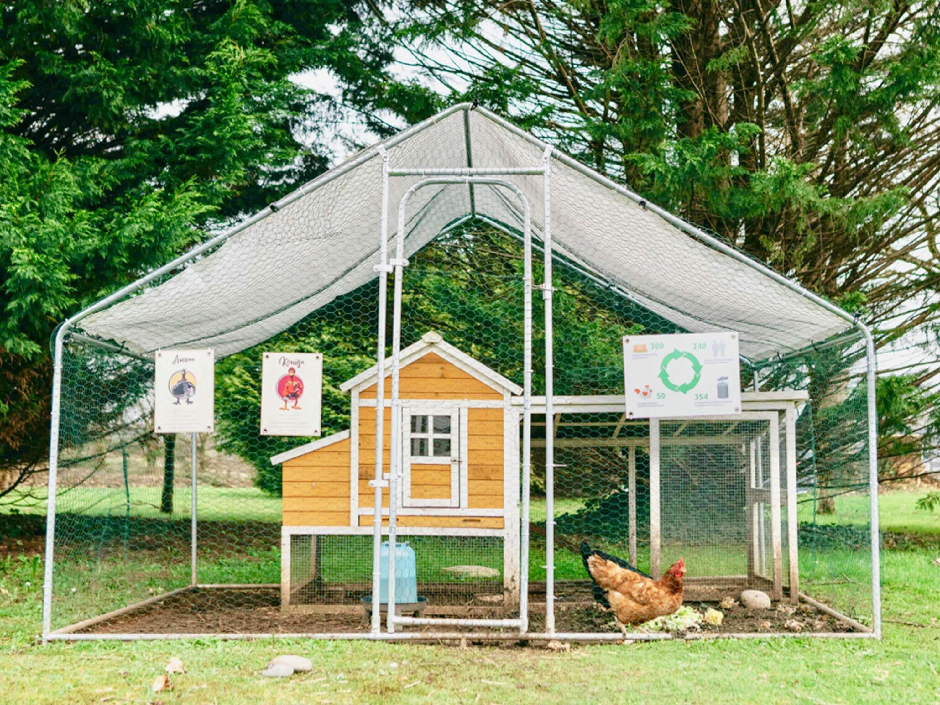 A chicken coop with a wire mesh roof and a wooden structure inside.