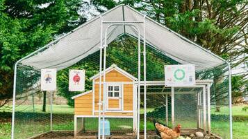 A chicken coop with a wire mesh roof and a wooden structure inside.