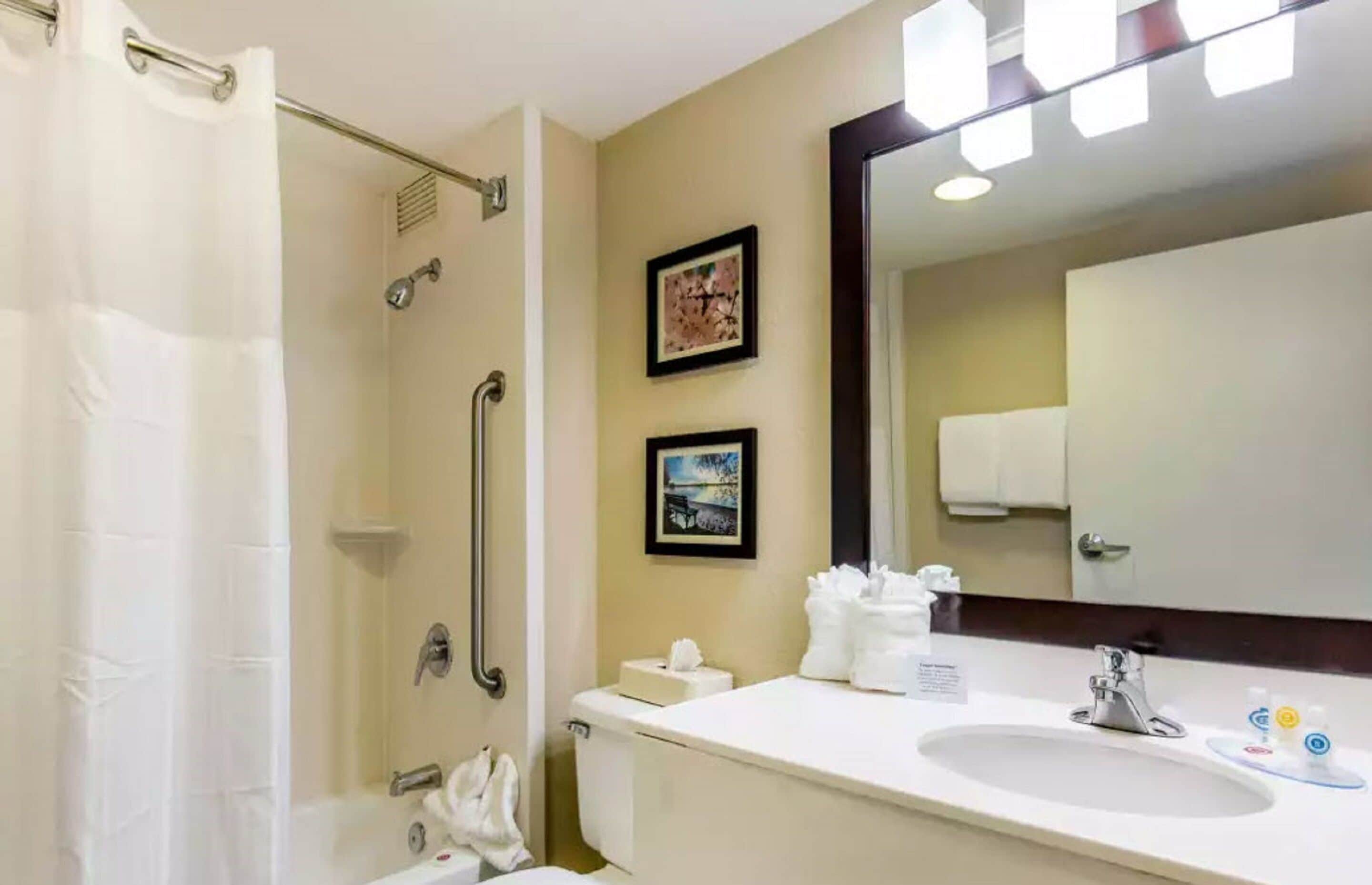 Baño con ducha, inodoro, lavabo y un espejo grande.