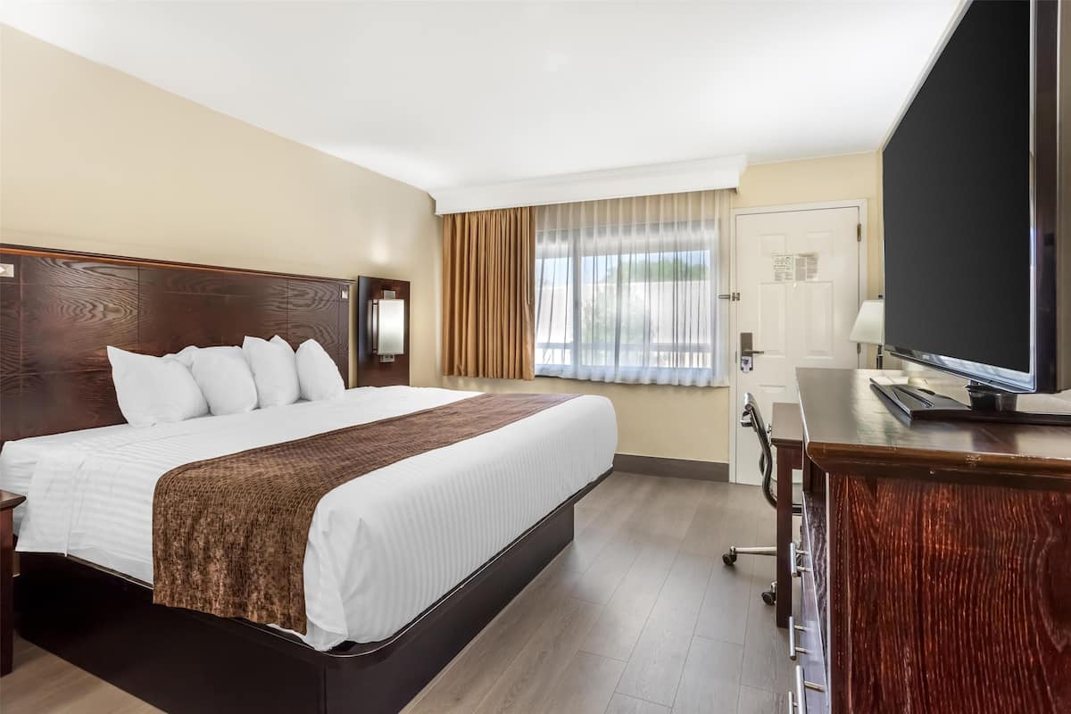 Standard Room, 1 King Bed, Non Smoking