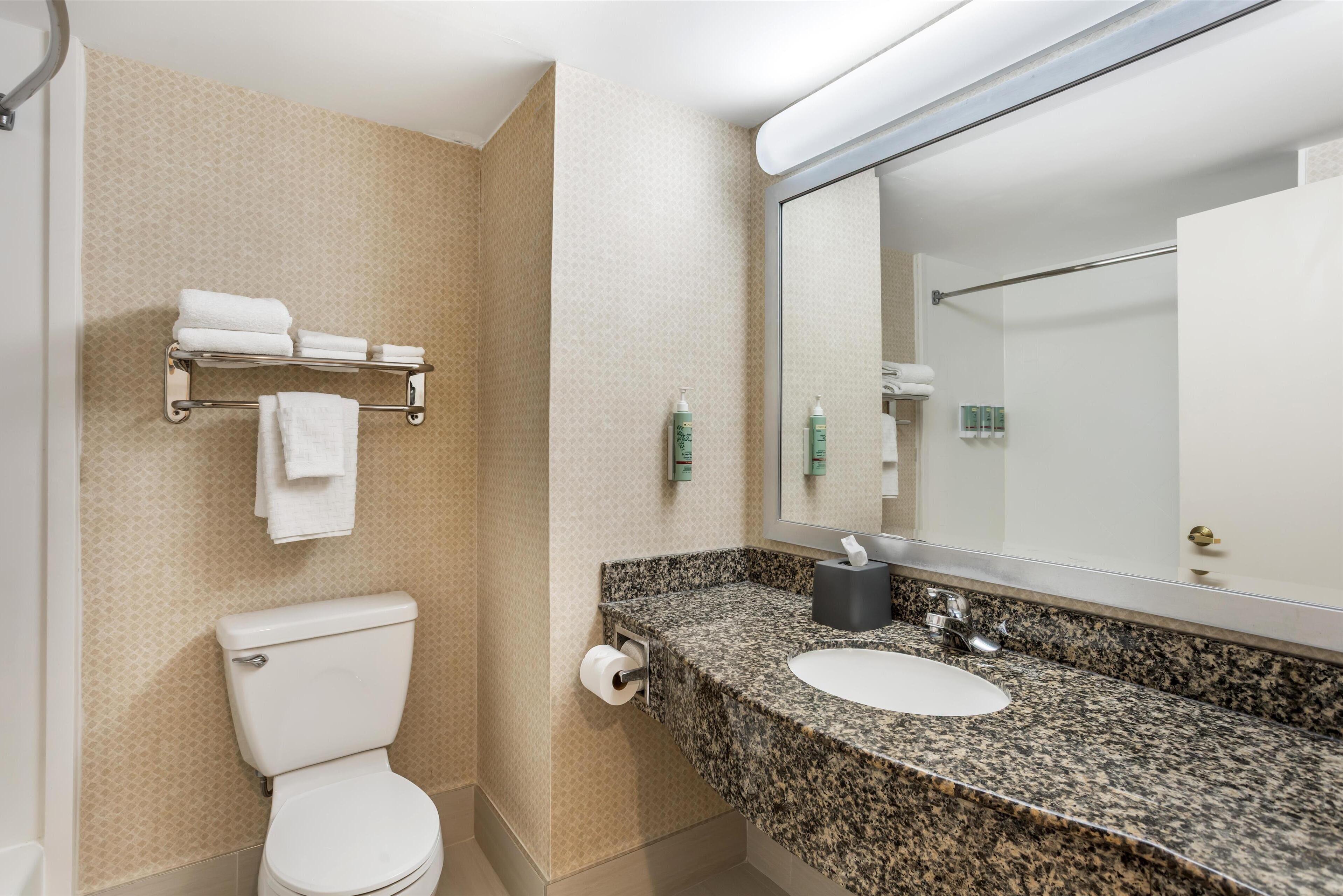 Un baño con inodoro, lavabo, toallero y espejo.