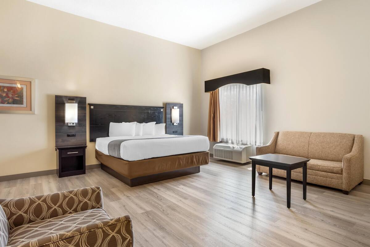 Deluxe Room, 1 King Bed, Non Smoking, Refrigerator (with Sofabed)