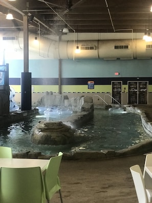 Water park - Soaring Eagle Waterpark and Hotel (Mount Pleasant)