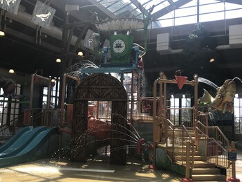 Soaring Eagle Waterpark and Hotel
