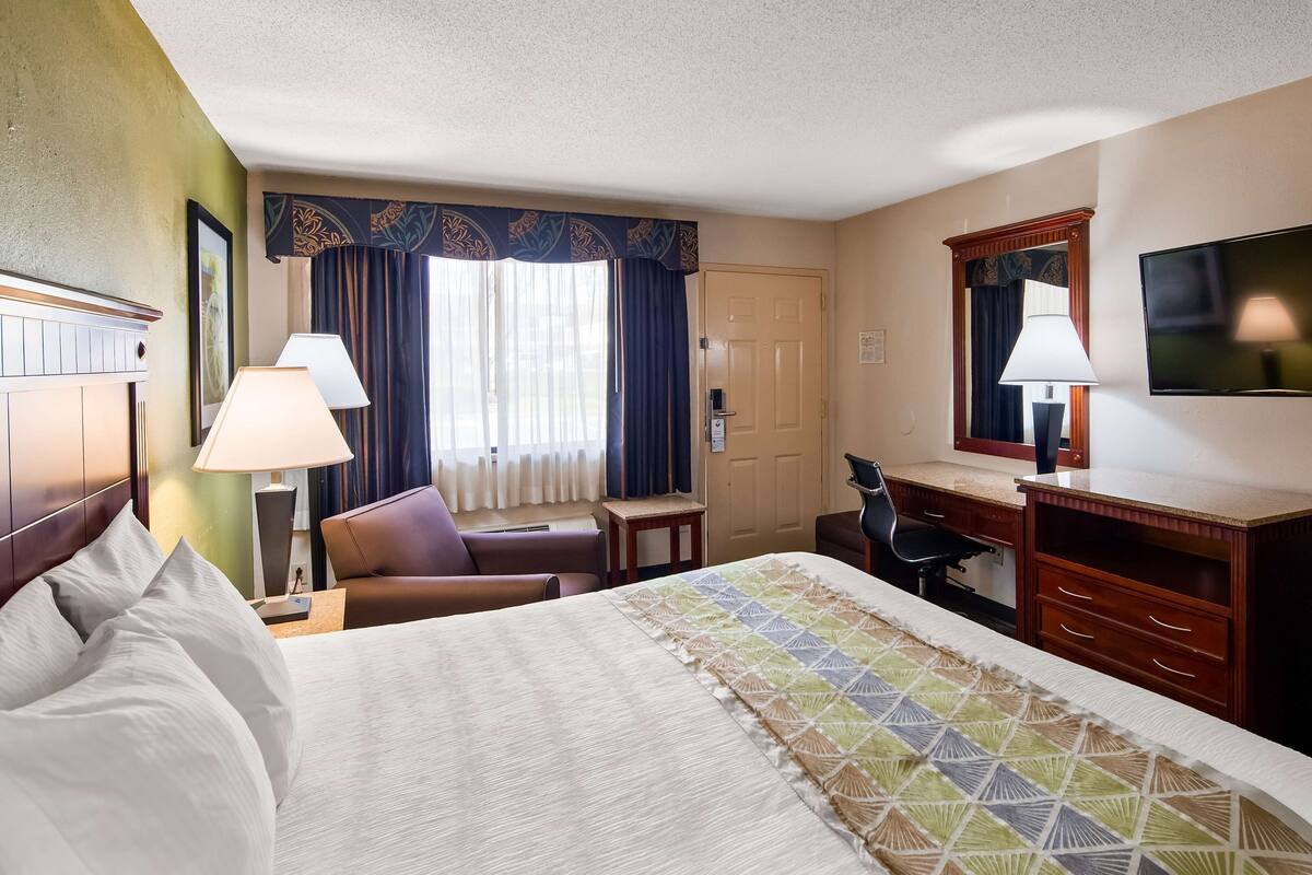 A hotel room with a bed, a desk, a chair, a television, and a window with curtains.