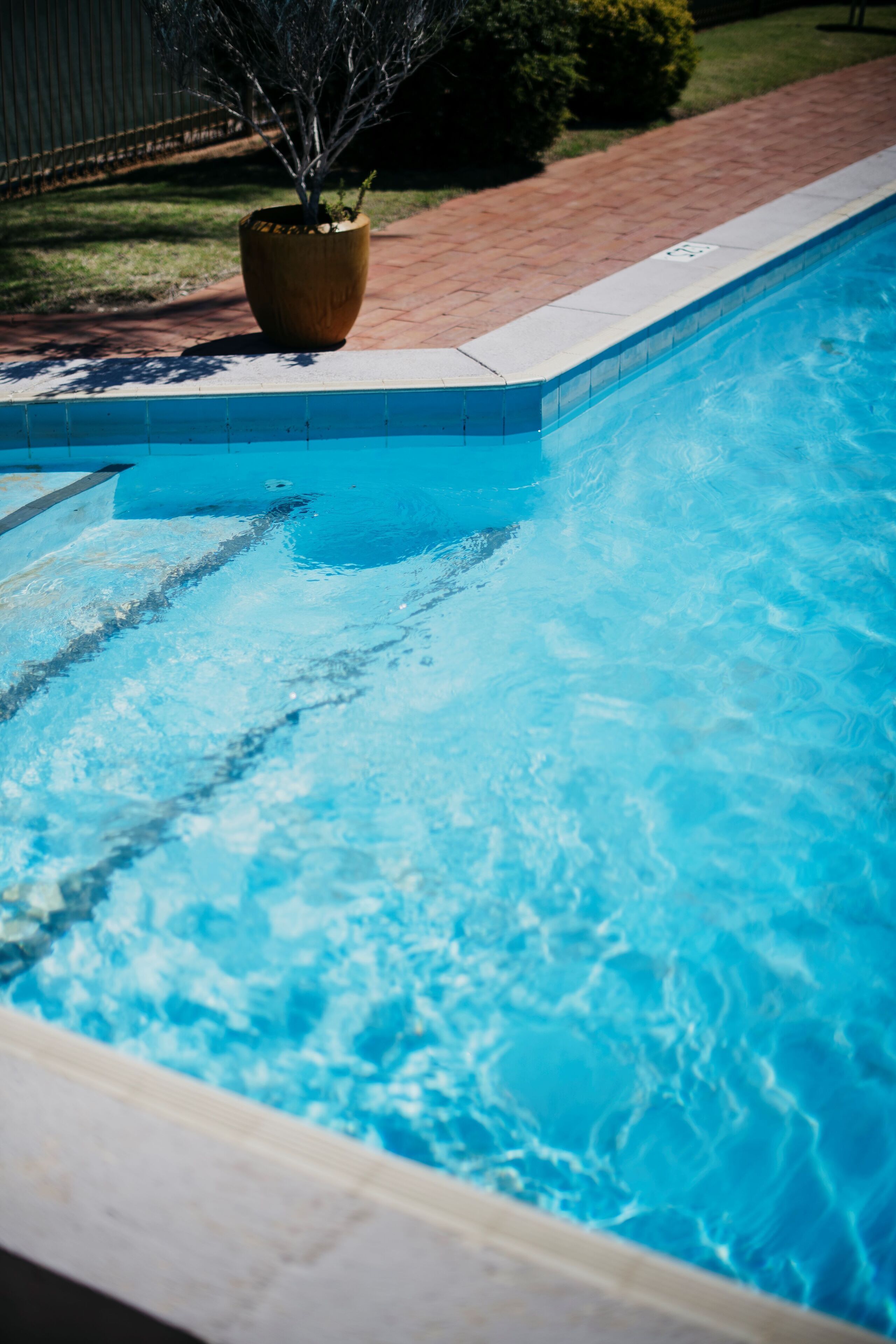 A clear view of a swimming pool with a tiled edge and a potted plant on the side.
