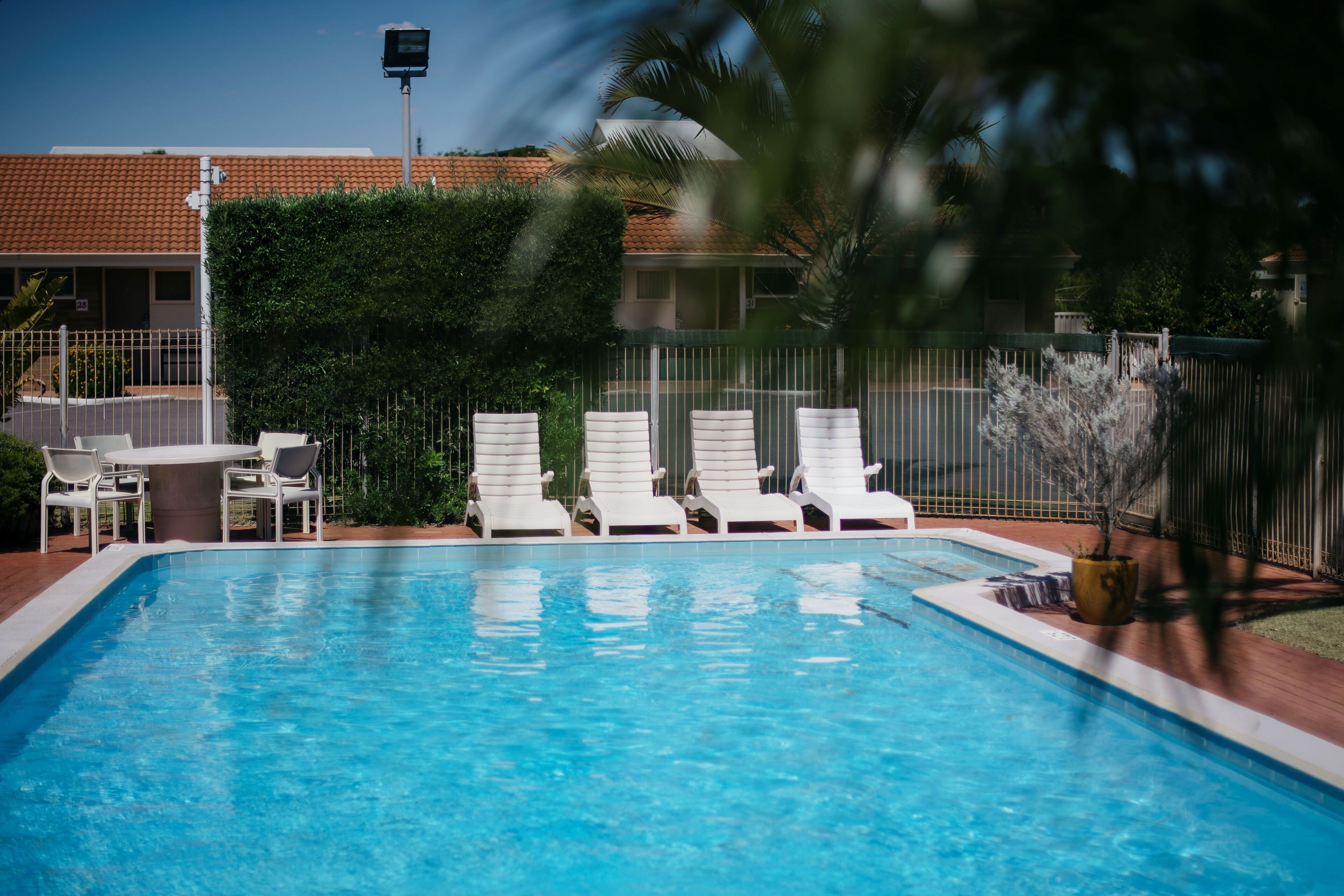 A swimming pool with white lounge chairs and a fenced area.