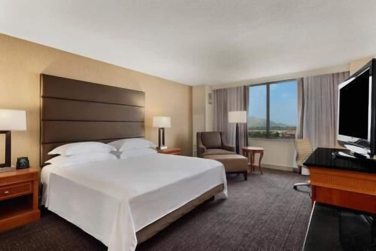 Habitación de hotel con una cama grande, un escritorio, una silla, un televisor y una ventana con vistas.