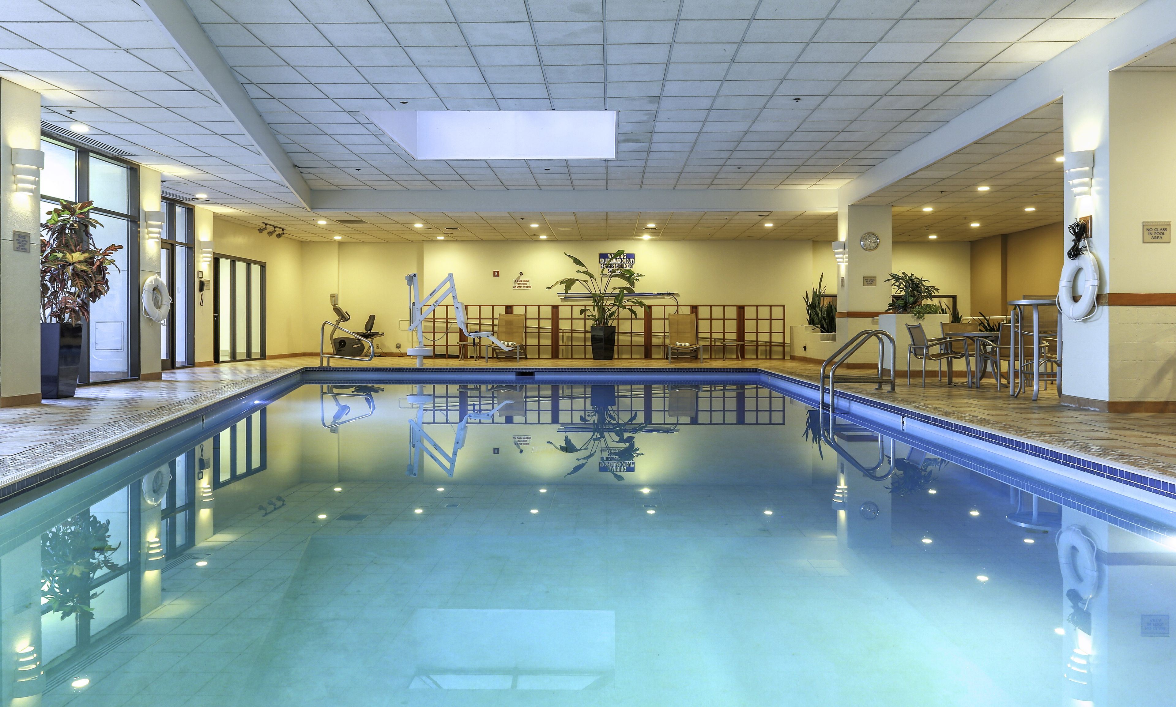 Uma grande piscina interior com chão em mosaico, rodeada por áreas de estar e plantas em vasos.