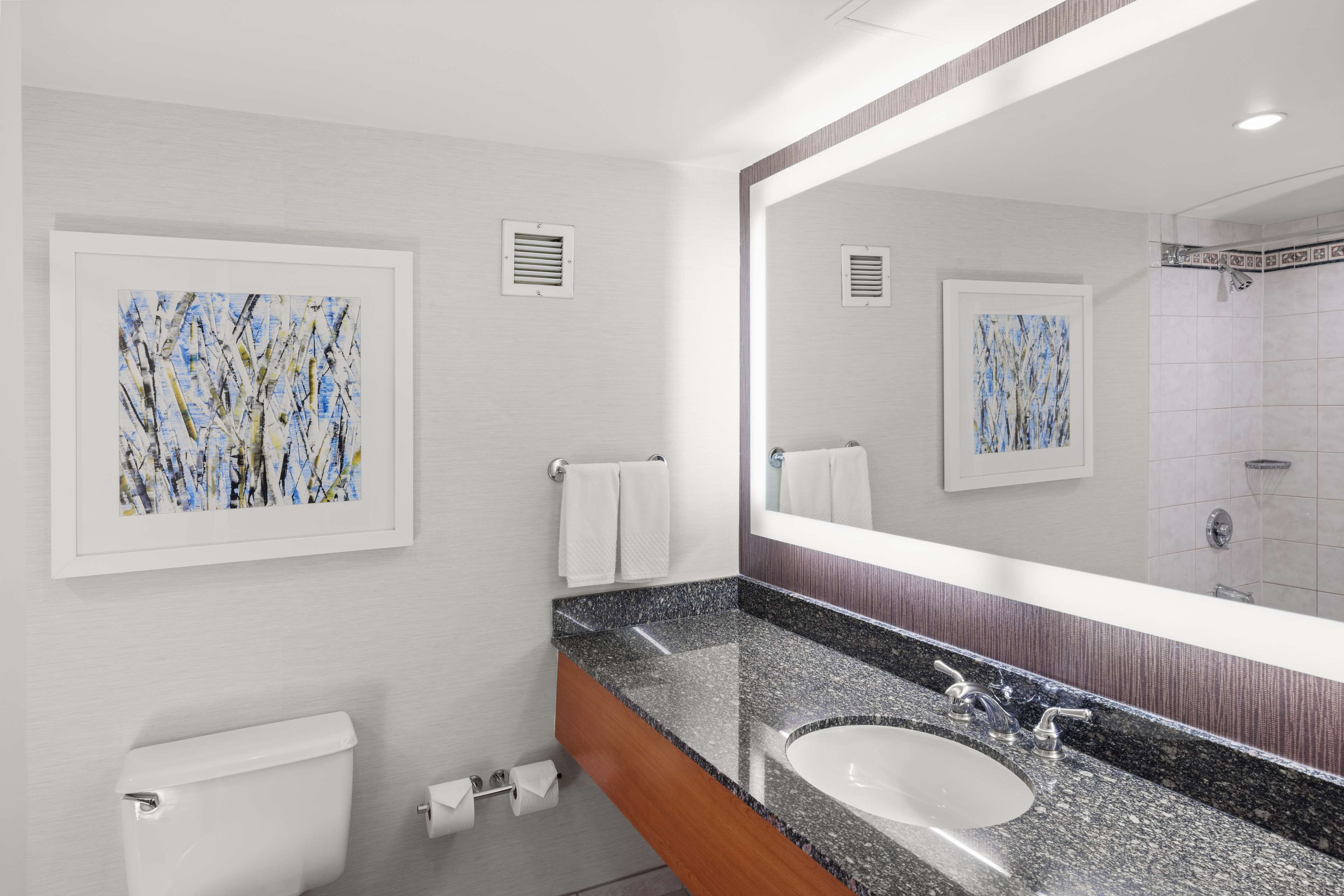 Une salle de bain moderne avec un lavabo surmonté d’un plan de travail en granit, un grand miroir et deux tableaux abstraits encadrés accrochés au mur.