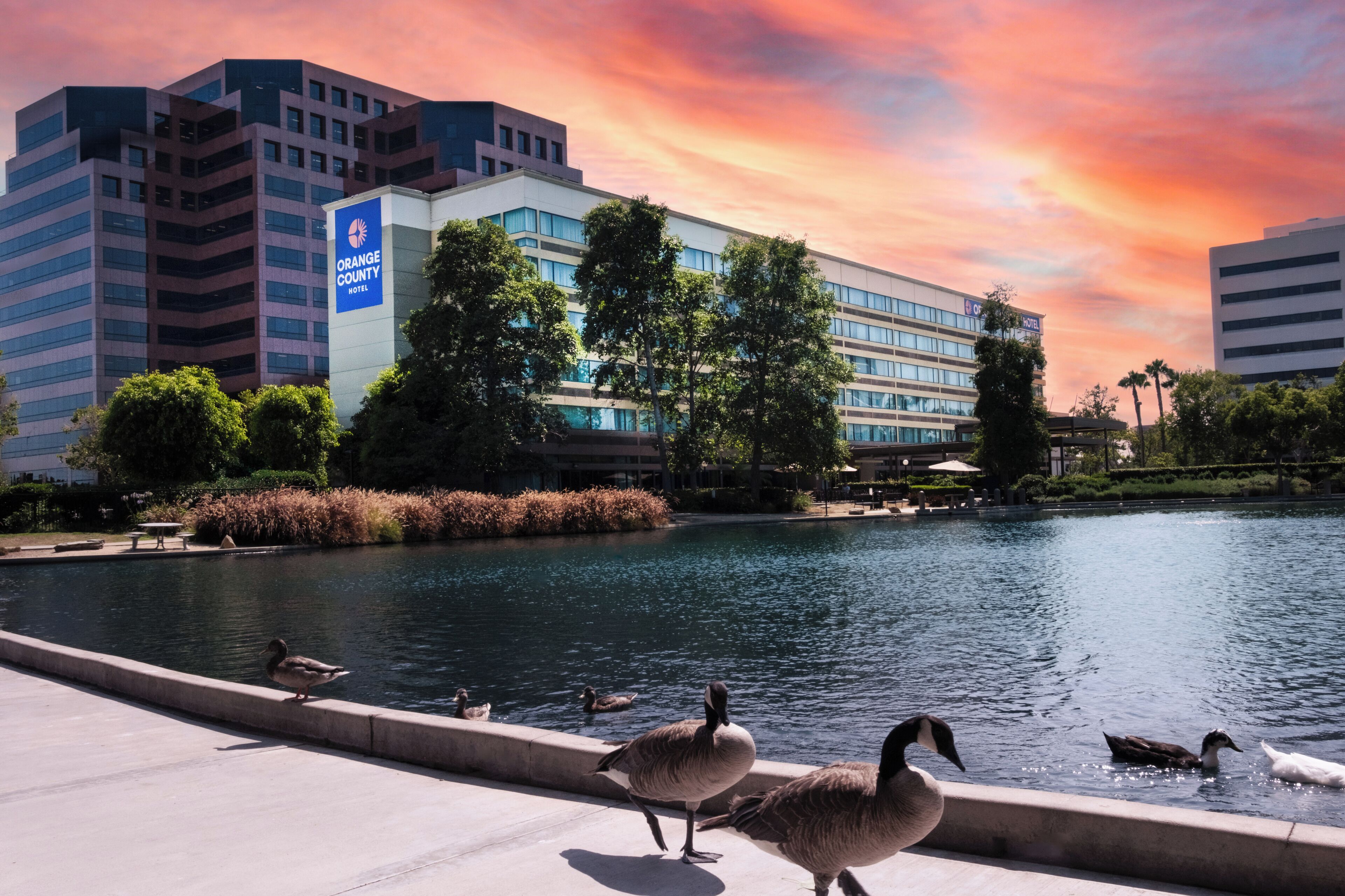 Foto - DoubleTree by Hilton Orange County Airport