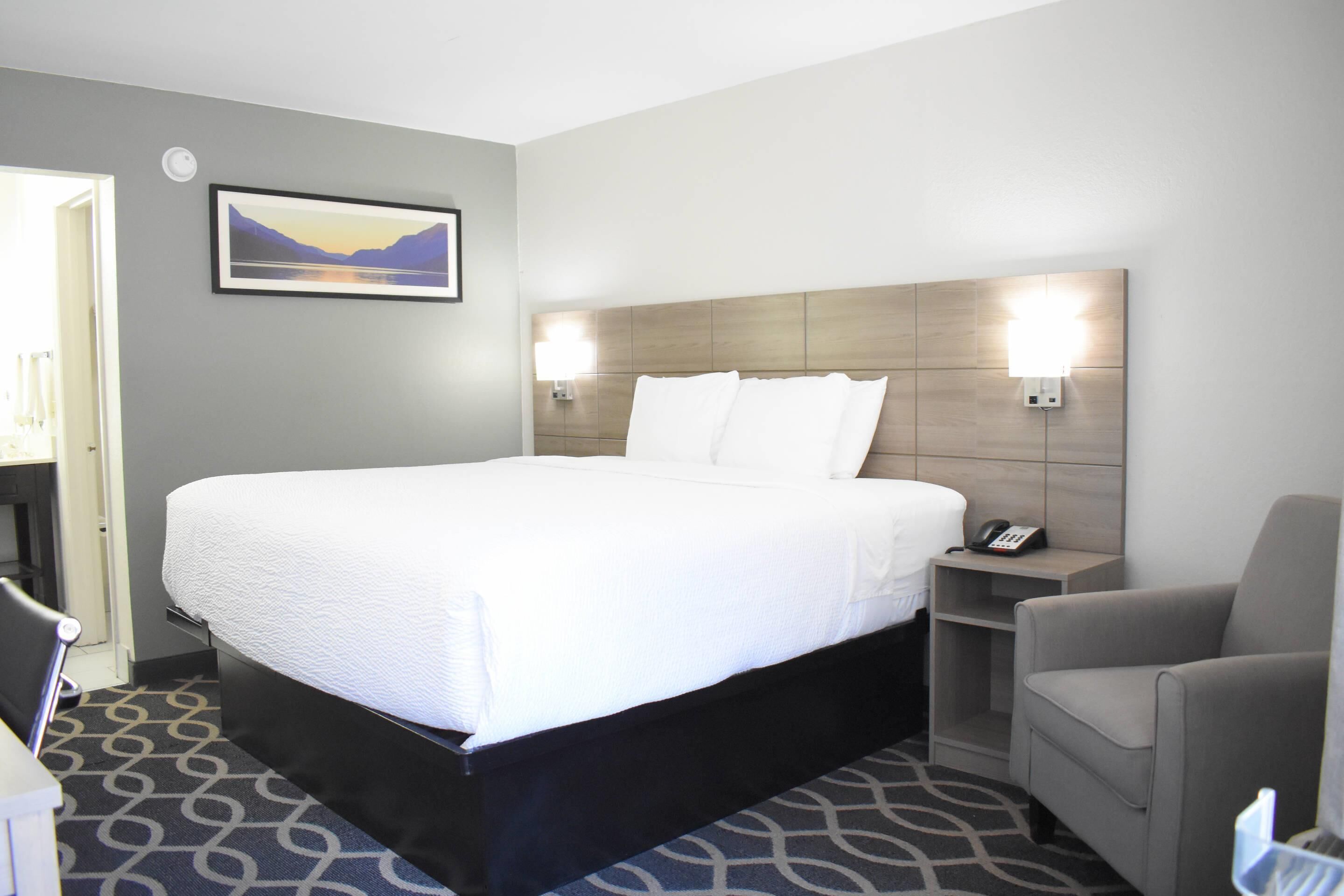 标准房, 1 张特大床, 无烟房 | 办公桌、熨斗/熨衣板、免费 WiFi、床单