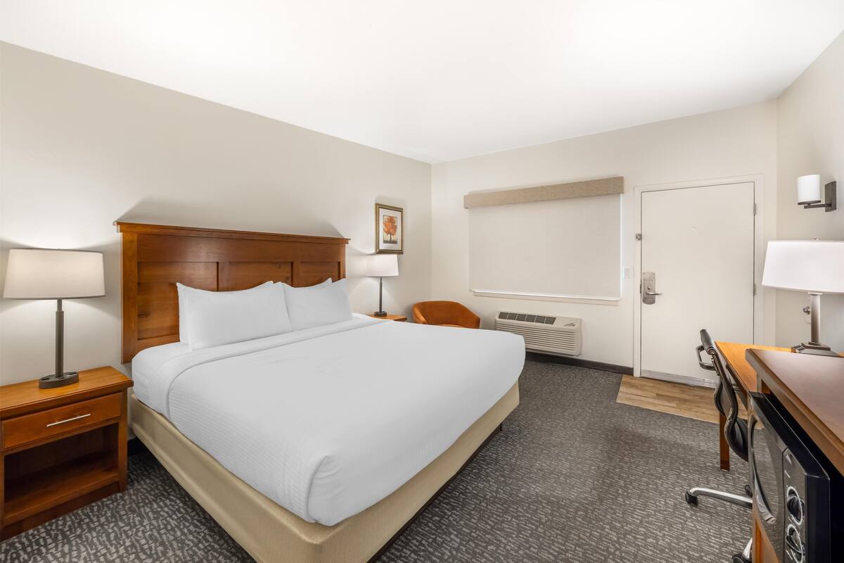 Une chambre d’hôtel avec un lit, un bureau, une chaise, une lampe, un tableau au mur et une porte.