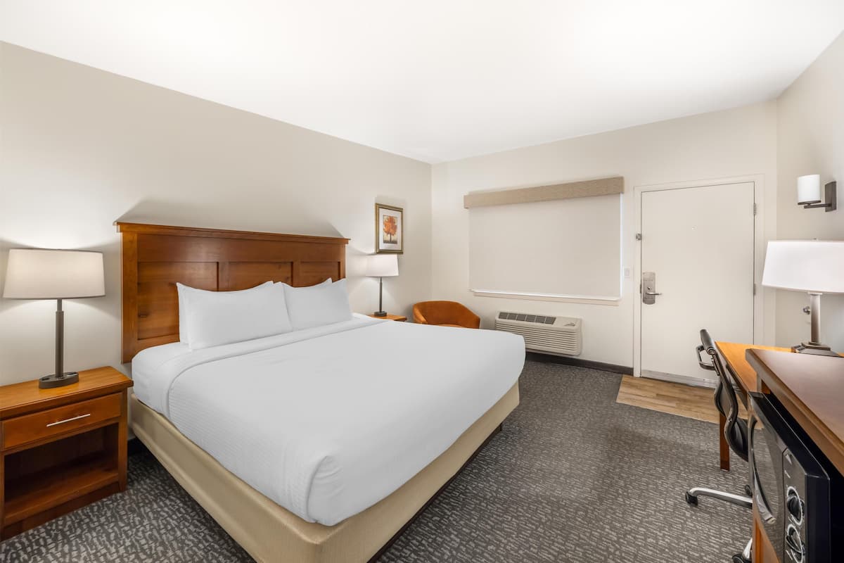 Standard Room, 1 Queen Bed, Non Smoking, Microwave | Individually decorated, individually furnished, desk, laptop workspace