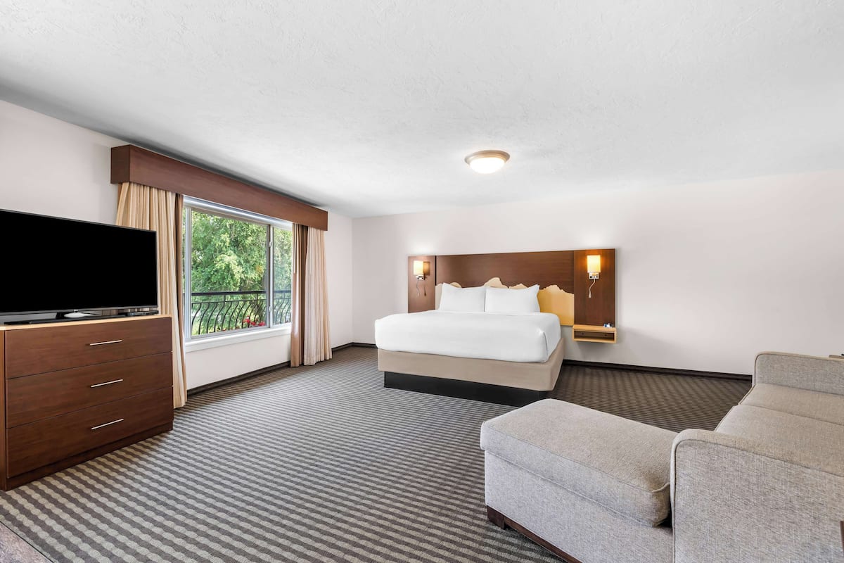 A hotel room with a bed, a TV, a sofa, a window with curtains, and a wall-mounted light fixture.