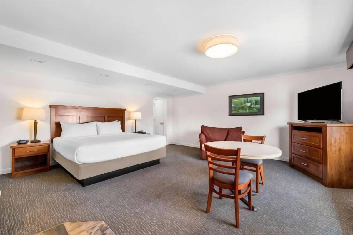 Une chambre d’hôtel comprenant un lit, des tables de chevet, un bureau avec une chaise, une télévision et un tableau au mur.