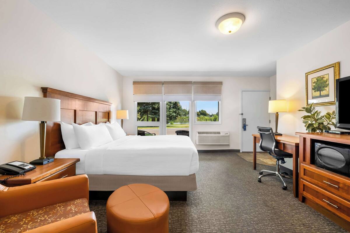 Une chambre d’hôtel avec un grand lit, un bureau avec un ordinateur, une chaise, une télévision et une fenêtre donnant sur des arbres.