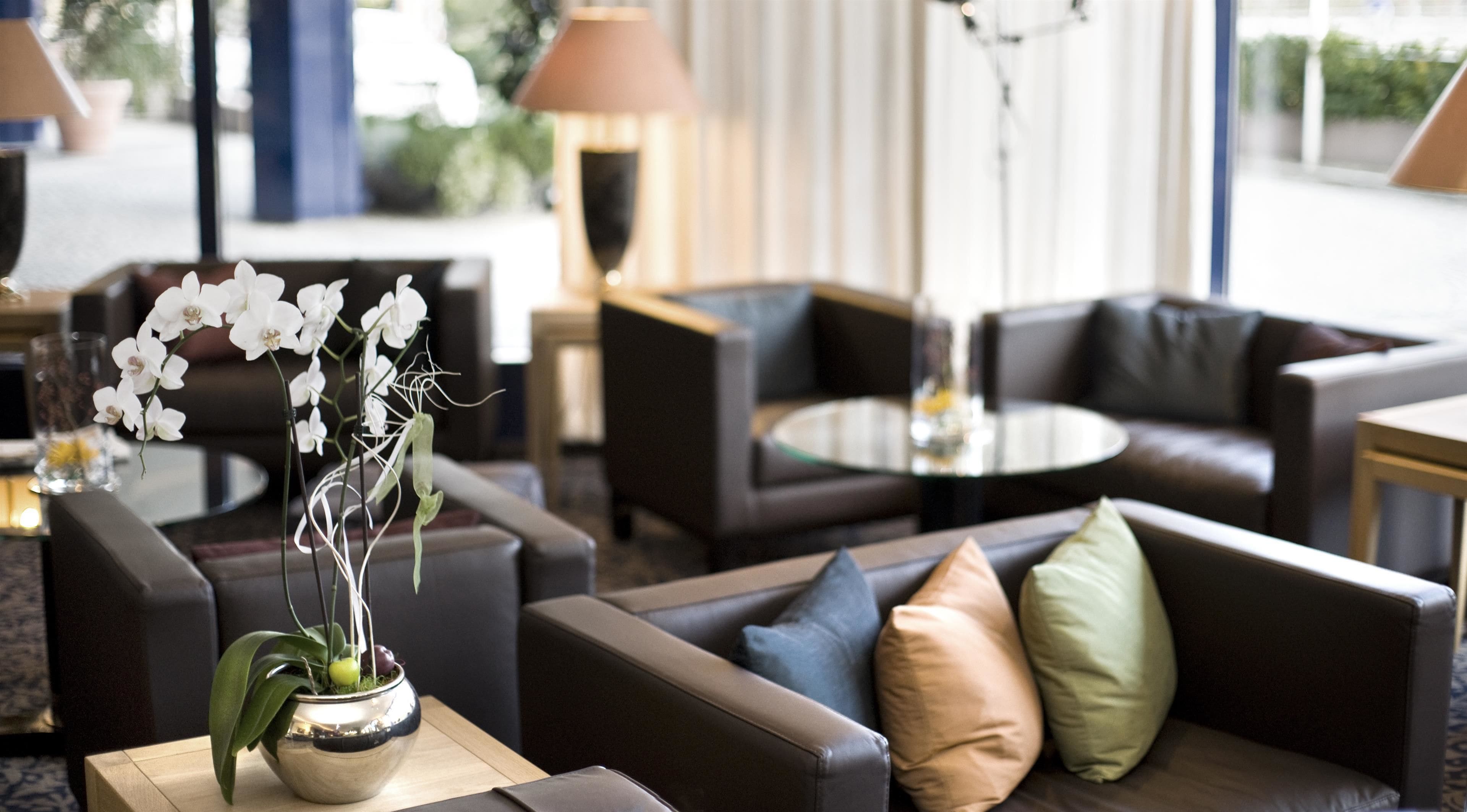 A modern lounge area with leather sofas, a round table, and a potted orchid.